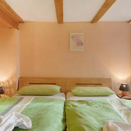 Apartment Bachbubenhof